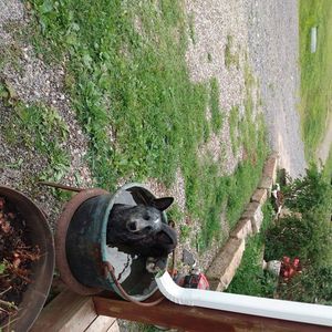 Meet your Posher, Edwin